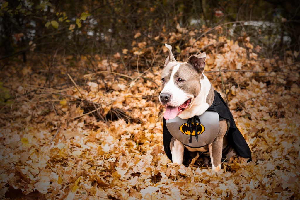 photo événementiel gueule d'ange balade 