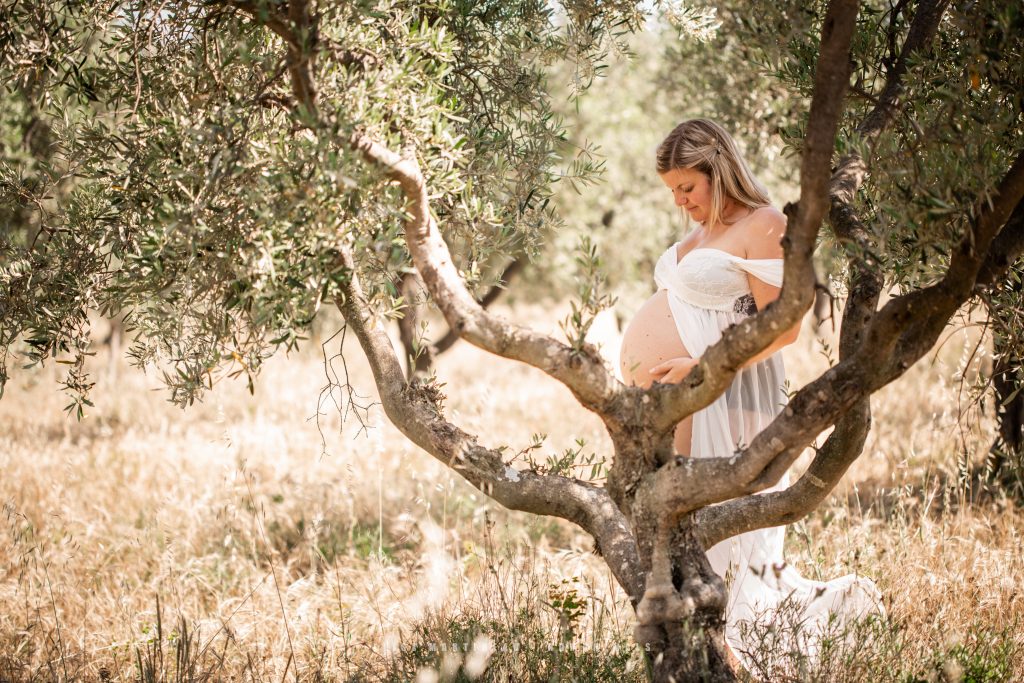 photo grossesse champs d'oliviers