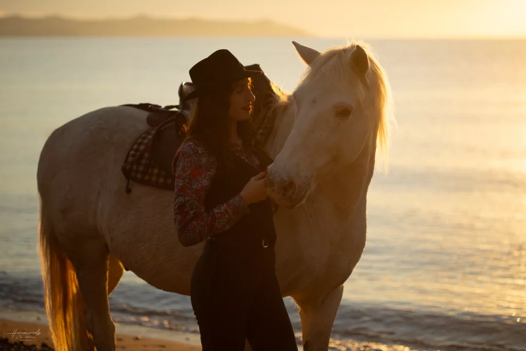 shooting cheval toulon